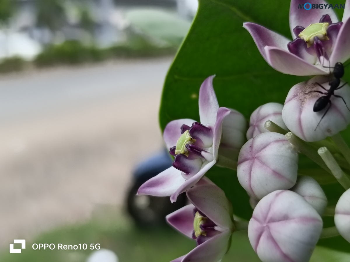 OPPO Reno10 5G Review Camera Samples 27