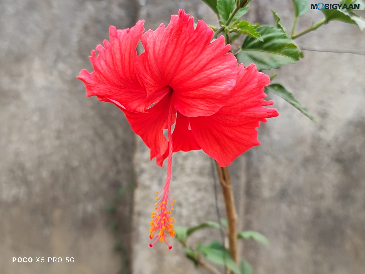 POCO X5 Pro 5G Review Camera Samples 36