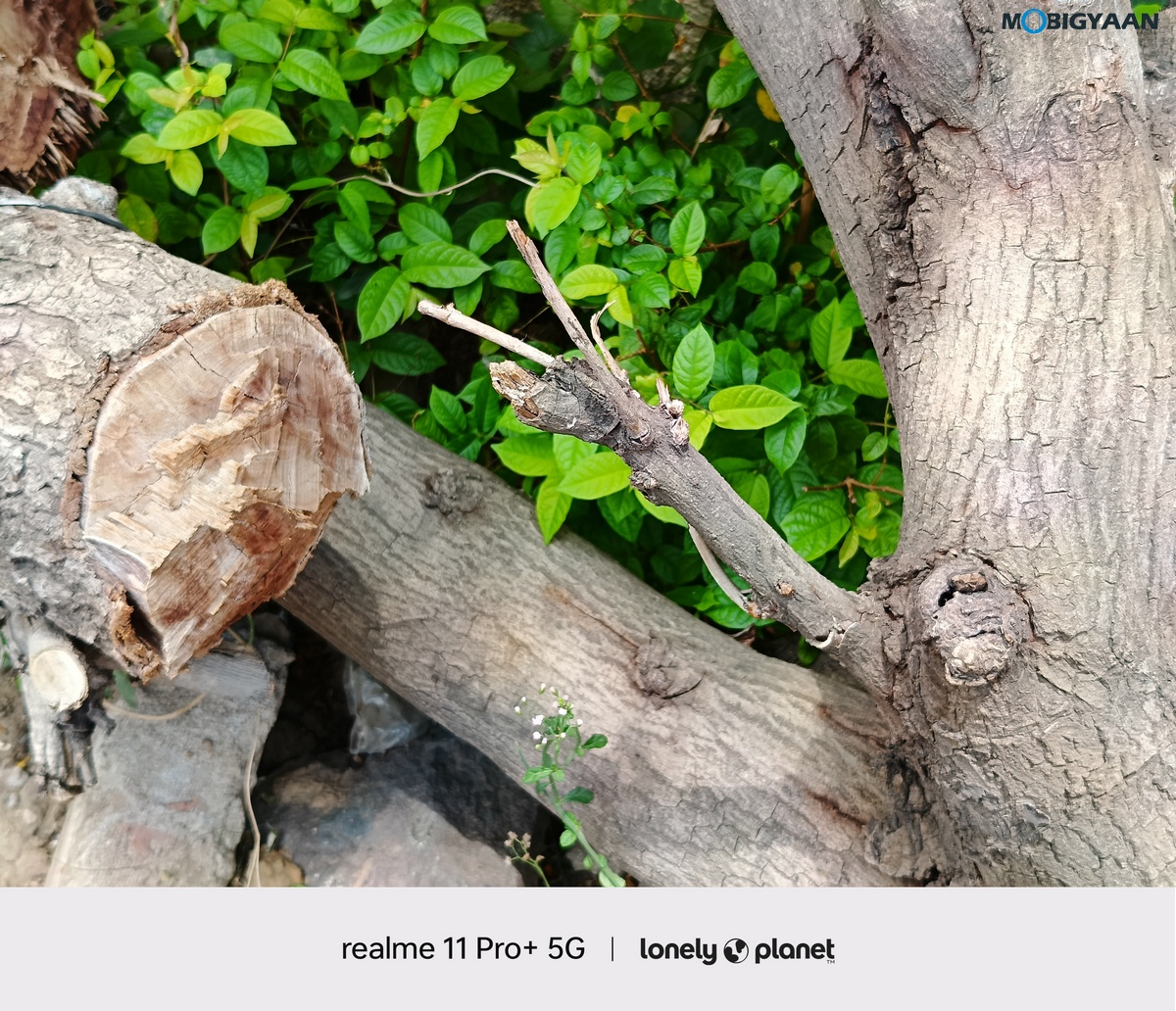 realme 11 Pro 5G Review Camera Samples 10