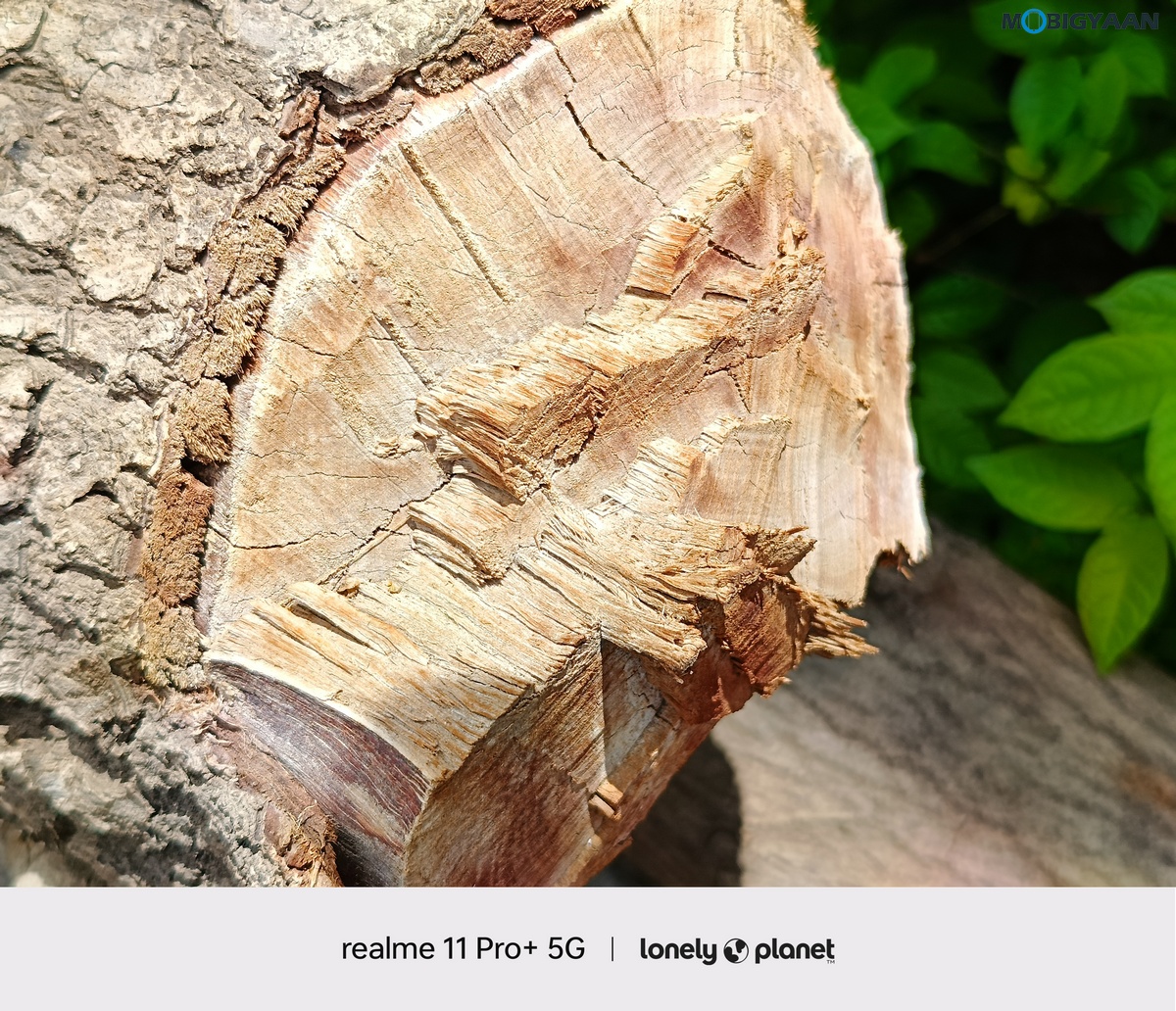 realme 11 Pro 5G Review Camera Samples 11