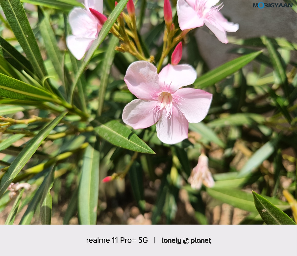 realme 11 Pro 5G Review Camera Samples 23