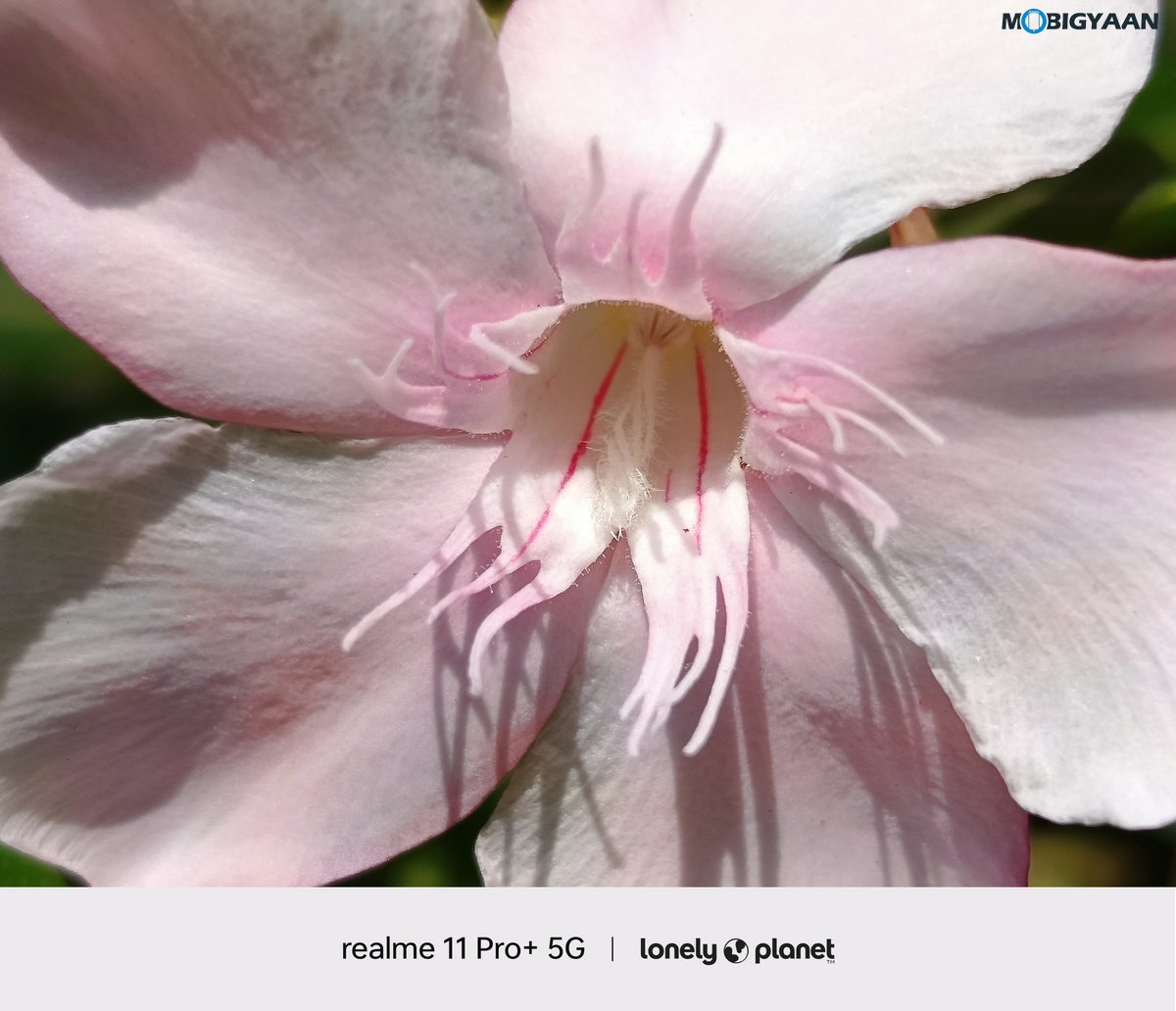 realme 11 Pro 5G Review Camera Samples 25