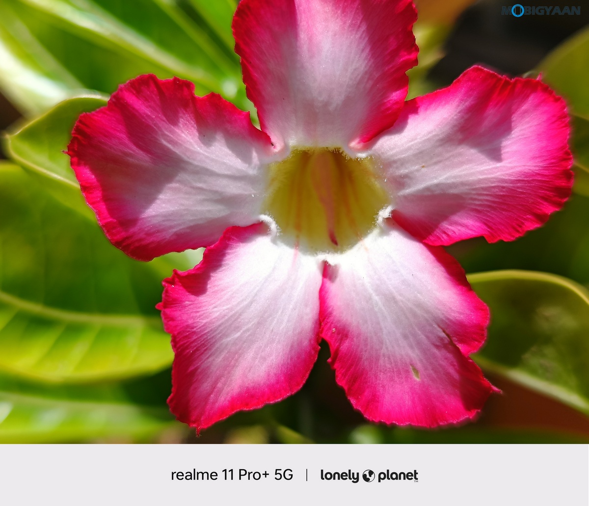 realme 11 Pro 5G Review Camera Samples 4