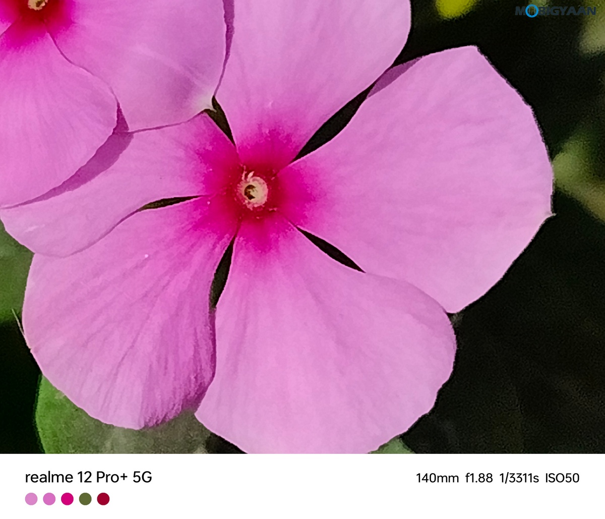 realme 12 Pro 5G Review Camera Samples 14