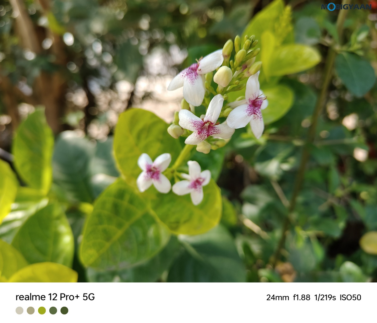 realme 12 Pro 5G Review Camera Samples 26