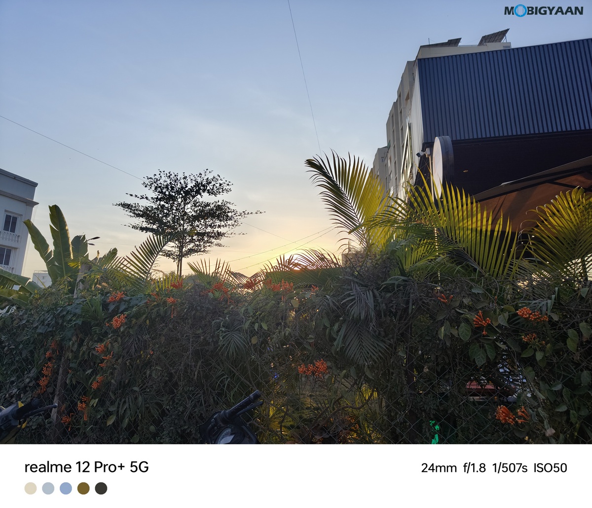 realme 12 Pro 5G Review Camera Samples 62