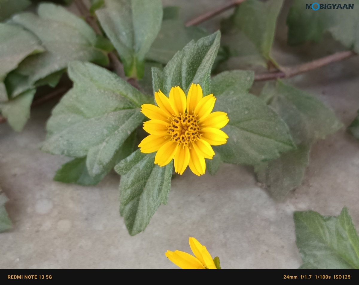 Redmi Mote 13 5G Review Camera Samples 13