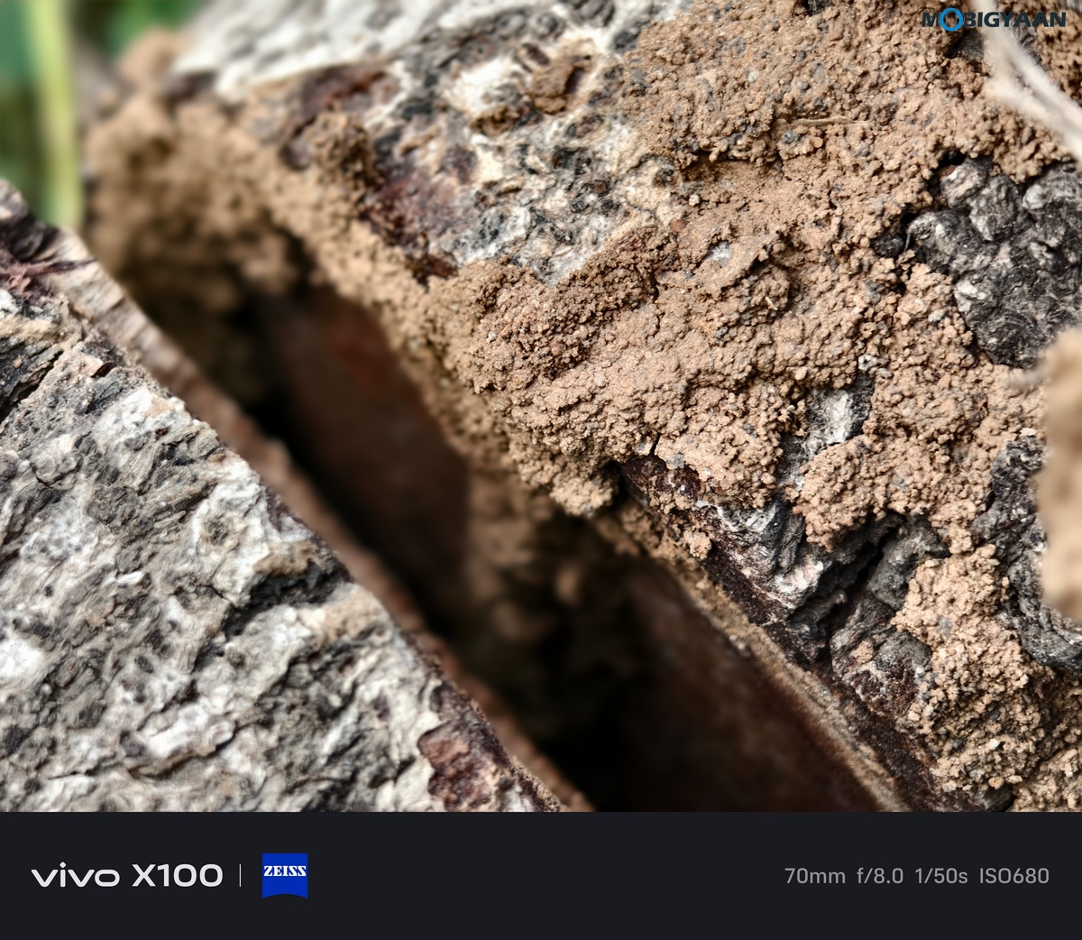 vivo X100 Review Camera Samples 16