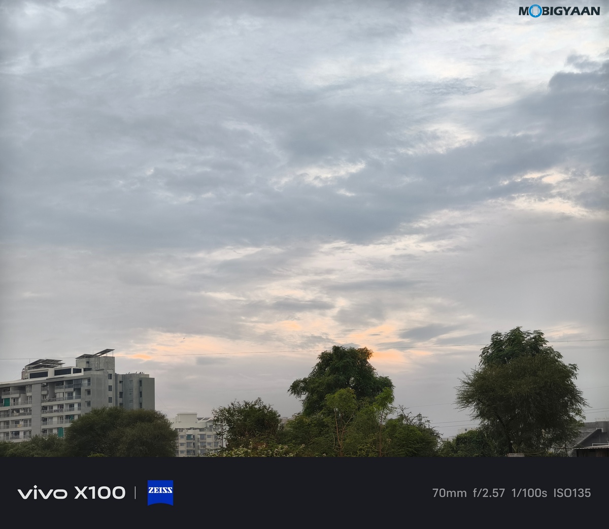 vivo X100 Review Camera Samples 19