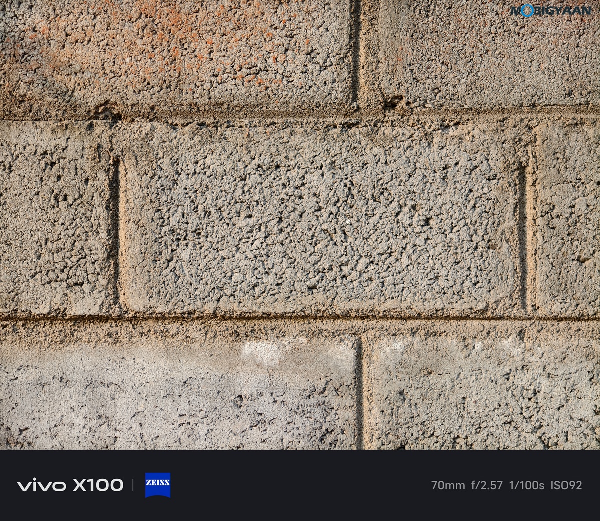 vivo X100 Review Camera Samples 38