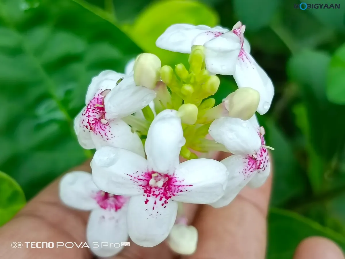 TECNO POVA 5 Pro 5G Review Camera Samples 8